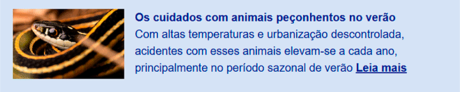 Libere as imagens para visualizar